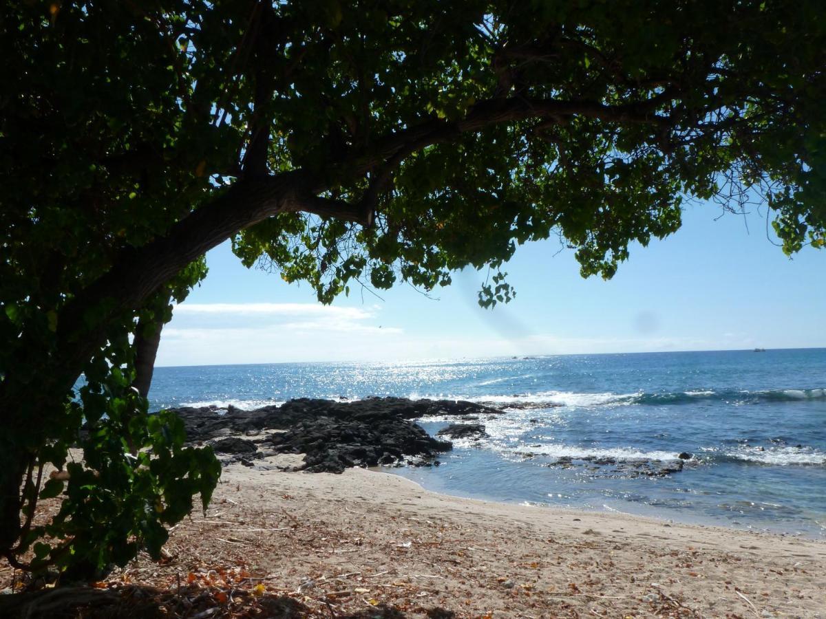 Downtown Hawaiian Paradise Condo With Hot Tub, Pool & Beach - Kona Islander Inn Kailua-Kona Luaran gambar